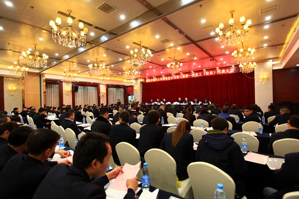 IMG_9586_副本600.jpg IMG_9586_副本600.jpg
